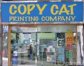 Copy Cat Printing Company storefront