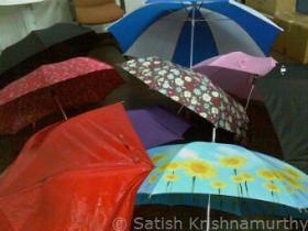 Umbrellas grouped on the ground