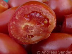 Juicy-Tomato