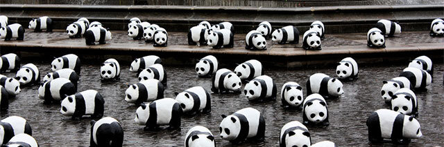 Panda-Invasion
