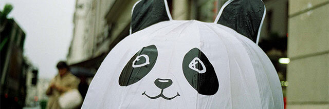 Parapluie-panda