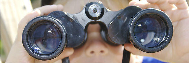 Binoculars are like a website's site search 