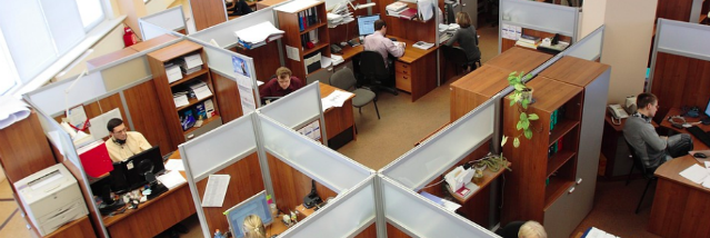 photo of cubicles in a work office
