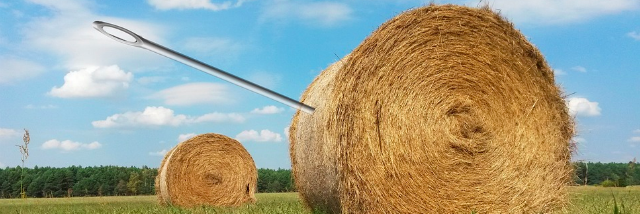 Huge needle in side of haystack