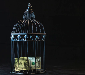 1 dollar bill in a bird cage