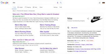 A search results of Nike on a Google Search Console