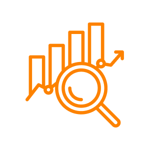 Analytics Audit Icon